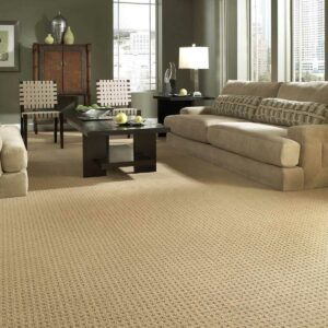 Textured Carpet | Goetze Bros. Carpet & Furniture