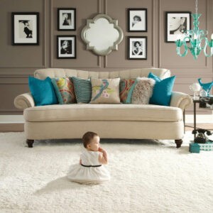 Plush Carpet | Goetze Bros. Carpet & Furniture