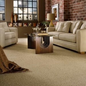 Living Room Carpet | Goetze Bros. Carpet & Furniture